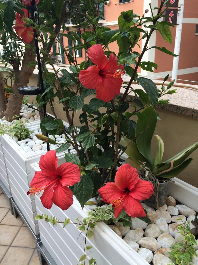 B&B Borgo Marina Bordighera Extérieur photo